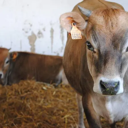 La Maison Volganza - A La Ferme Dans Le Perche *