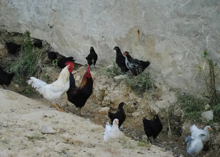 La Maison Volganza - A La Ferme Dans Le Perche *